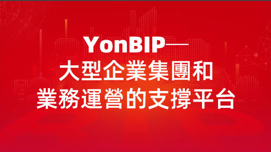 YonBIP─大型企業集團和業務運營的支撐平台