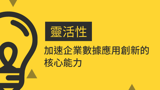 企業數據應用創新核心能力