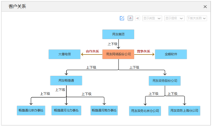 透過大客戶管理，用更宏觀角度總覽客戶在各方面的業務情況，有效輔助業務決策