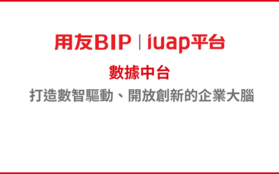 用友BIP 數據中台產品手冊